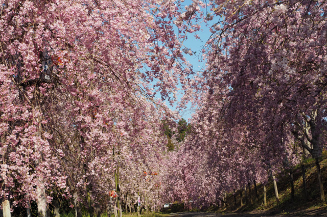 たけべの森公園